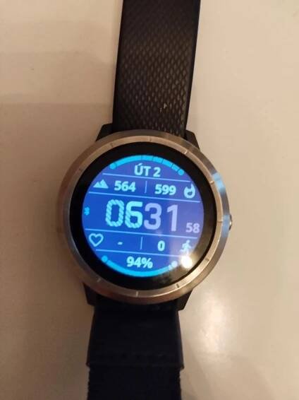 Garmin ViVo 3