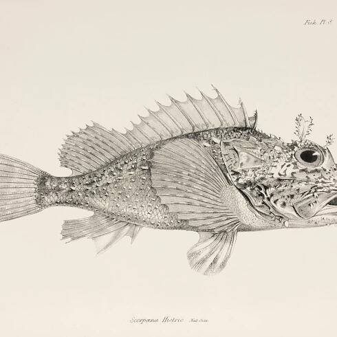 A Scientist Just Proved One of Darwin's Evolution Theories, 161 Years Later