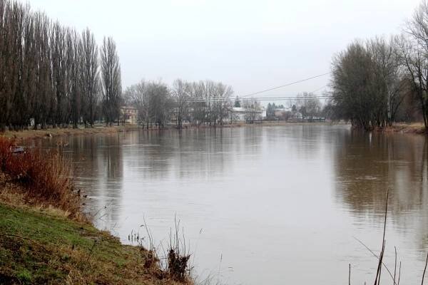 Průtok Labe po dešti znovu stoupl. Řeka se valí Nymburskem třikrát rychleji