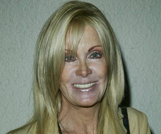 Joan Van Ark Biography - Facts, Childhood, Family Life & Achievements