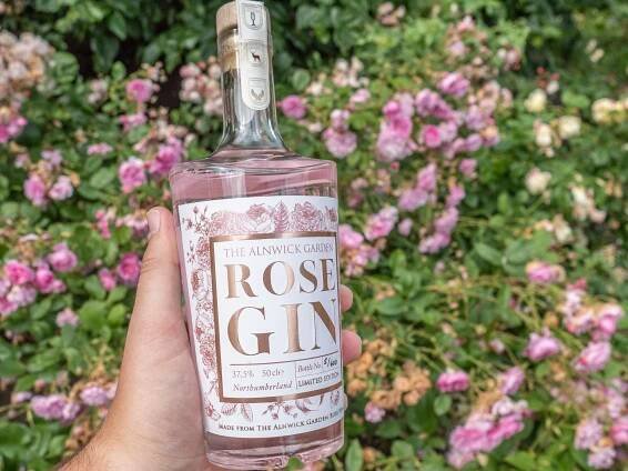 rose-gin