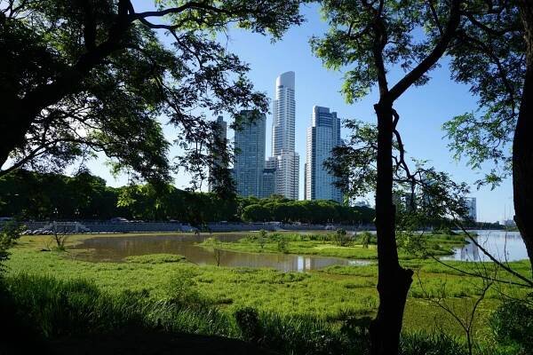 My stay at Buenos Aires! - Perfspots