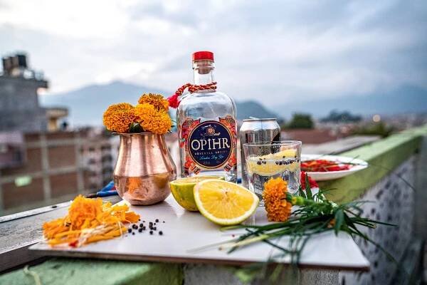 Journey Home with Ophir Gin