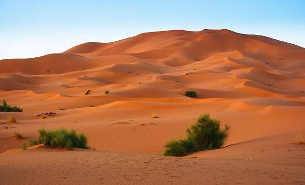 Západní Sahara