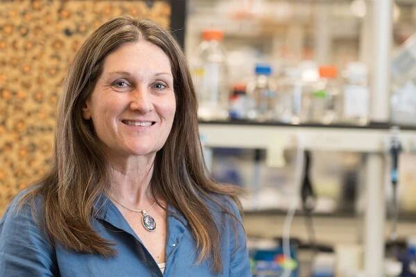 Susan VandeWoude, associate dean for research in the College of Veterinary Medicine and Biomedical Sciences at Colorado State University