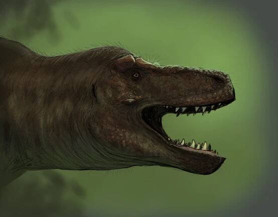 t rex on Tumblr