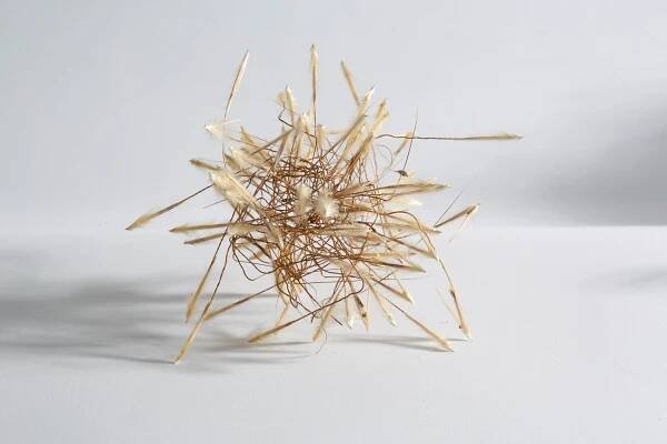 contact — Lucy Robinson