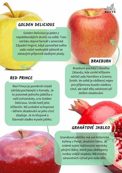 Dokumenty k ochutnávce - Bovys – velkoobchod s ovocem a zeleninou