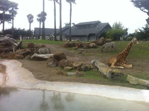 African Exhibit