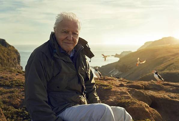 Discover unseen UK nature in ‘Wild Isles’ with Sir David Attenborough