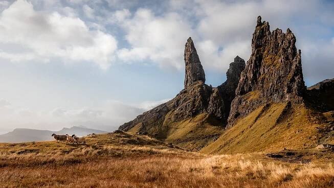 isle of skye old man of storr and sheep