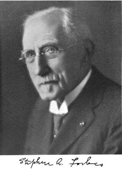 Stephen Alfred Forbes - Wikipedia