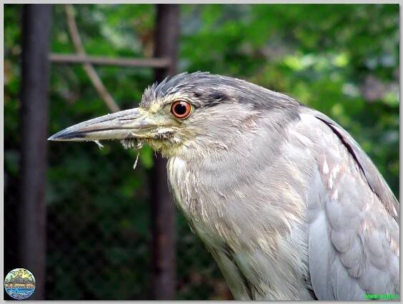 Zoopark Chomutov