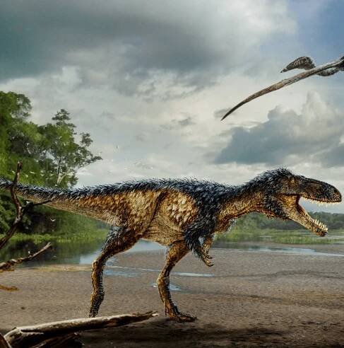 A small, but surprisingly smart tyrannosaur has been uncovered