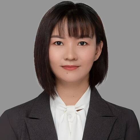 Legal Professional