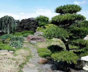 Galanta - japonská záhrada - Japonská záhrada