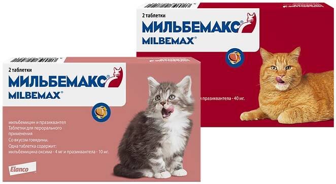Jak užívat Milbemax pro kočky?