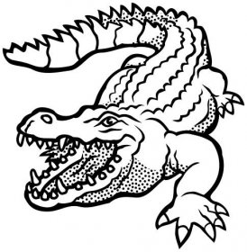 Krokodýl s otevřenou pusou omalovánka