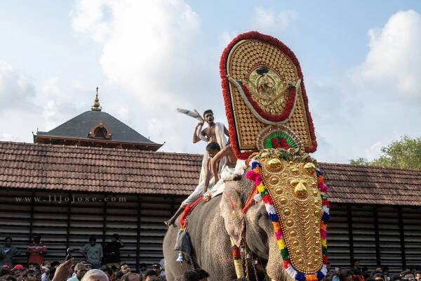 Lijo Jose - Thrissur Pooram