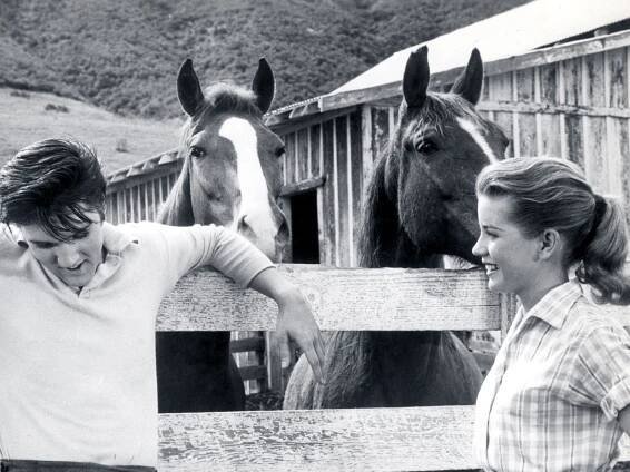 Meet Mother Dolores Hart, the Hollywood Actress Who Cut Off Her Bombshell Hair to Become a Roman Catholic Nun