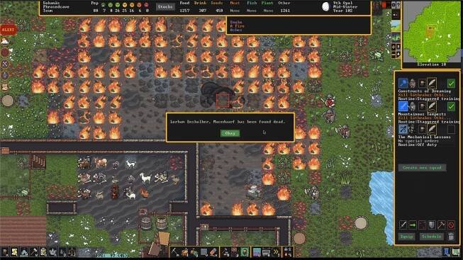 Dwarf Fortress Premium PC Review