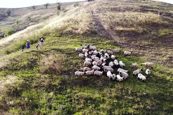 Farma Člupy: splněný sen o ekologickém hospodaření