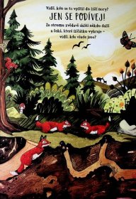 Kniha Tajemství lesa - Hledání zvířátek - Sandra Dieckmann | knizniklub.cz