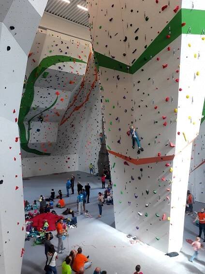 Žilina 2018 | Makak climbing