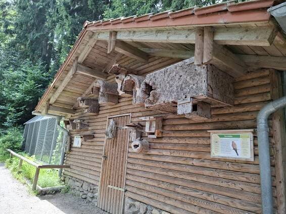 Photos • Bayerwald-Tierpark (Zoo) • Mapy.com