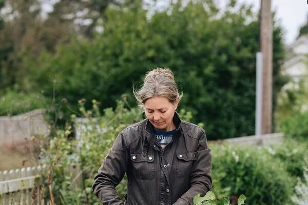 What to plant in November (and other garden tasks for the month)