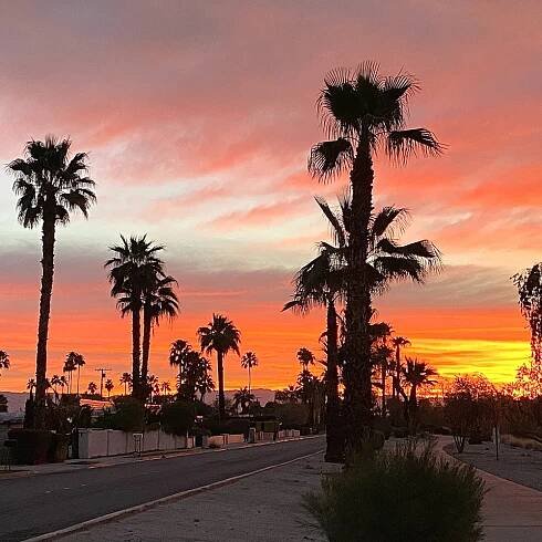 gay hotels palm springs