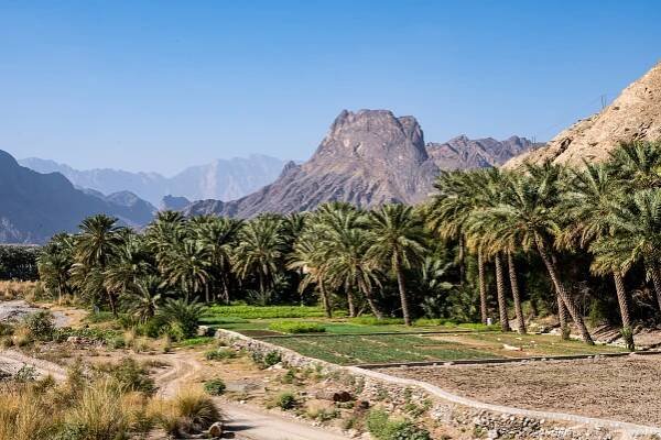 Muscat and Hajar Mountains – on the roof of Oman - tracks AROUND the WORLD - Weltreise mit dem Expeditionsmobil