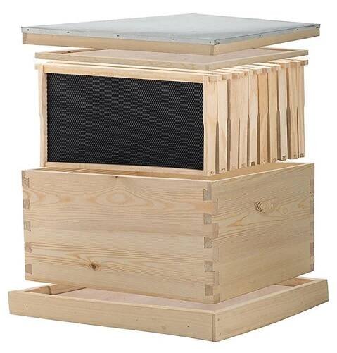1-Layer-Langstroth-beehive-3