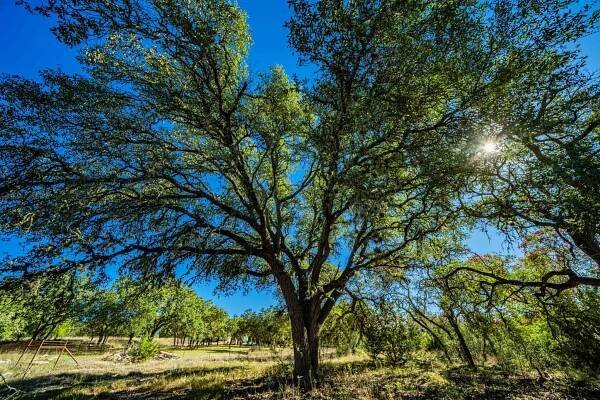 Kendall County | Black Creek Ranch | E of Boerne | Texas Ranches For Sale