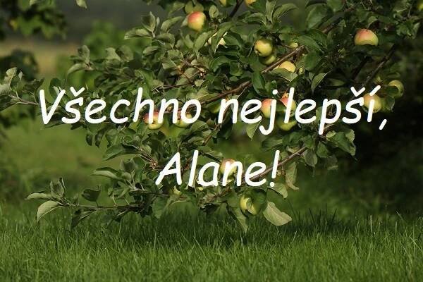 Nejkrásnější blahopřání k svátku pro Alana na jednom místě. Vyberte si!