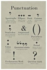 Punctuation Grammar and Writing Classroom English Class Posters Depth of Knowledge Lit Literary Terms Library Decorations High School Teacher Home Chart Speech Cool Wall Decor Art Print Poster 12x18