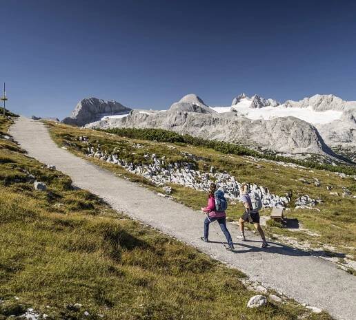 Zwei Wanderer gehen bei Sonnenschein einen Pfad entlang mit Blick auf das Dachsteinmassiv und den Gletscher.