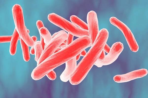 Glossary - NTM Info and Research Inc. – Nontuberculous Mycobacteria
