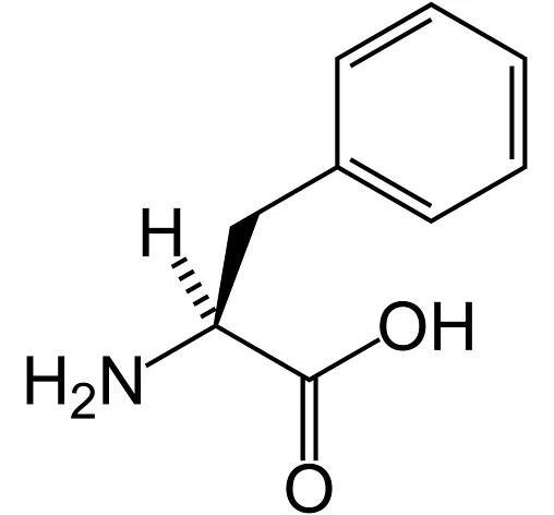 Soubor:L-phenylalanine-skeletal.png – Wikipedie