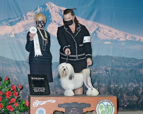 GCH Maya