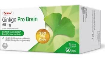 Dr. Max Ginkgo Pro Brain 60 mg 60 kapslí