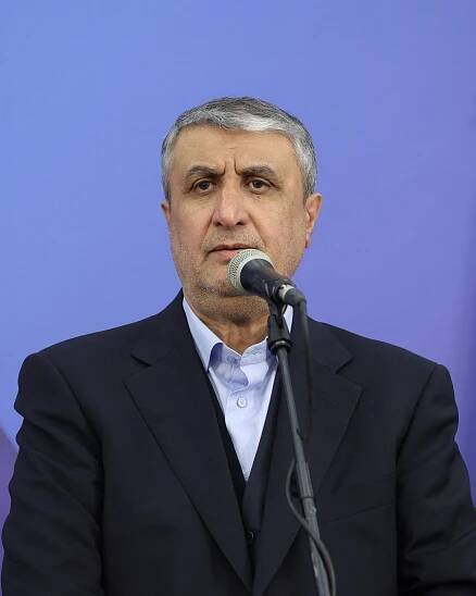 Iran is looking to restore its nuclear industry, Iran's nuclear chief says