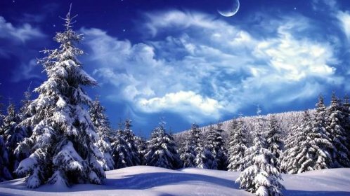 Embrace the Beauty of Winter Wallpaper