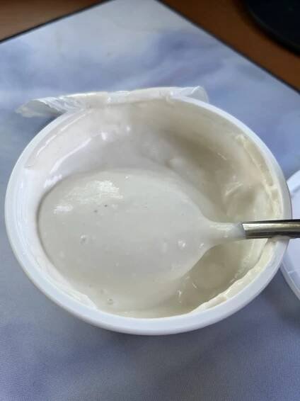 Forager Project Vegan Sour Cream Review | Exploring Vegan
