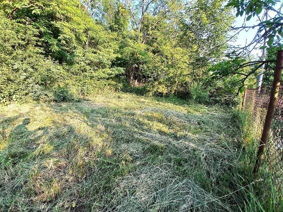Ivančice okres Brno-venkov pronájem oplocené zahrady u lesa – Ivančice • Bydlení a reality • RegionIvančicko.cz