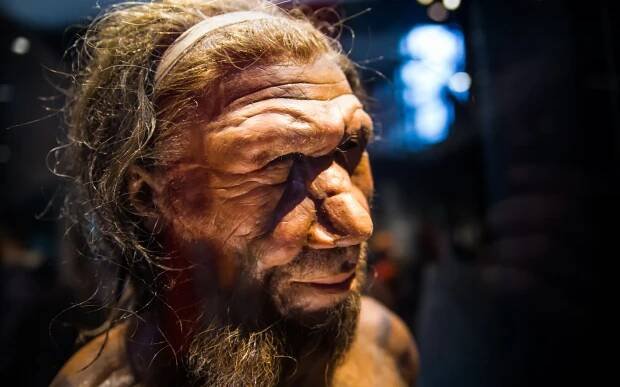Galerie: Odkud se vzaly velké nosy? Od neandertálců - Galerie - Echo24.cz
