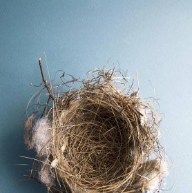 Empty nest syndrome: how to cope when your children leave home