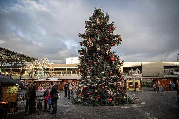 Advent na Jihu: V neděli se rozzáří vánoční strom u Akordu, po něm Vánoční město