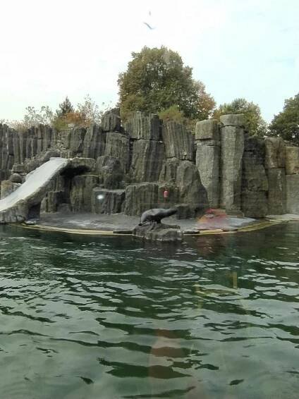 Základní škola Strakonice, Dukelská 166 | ZOO Praha