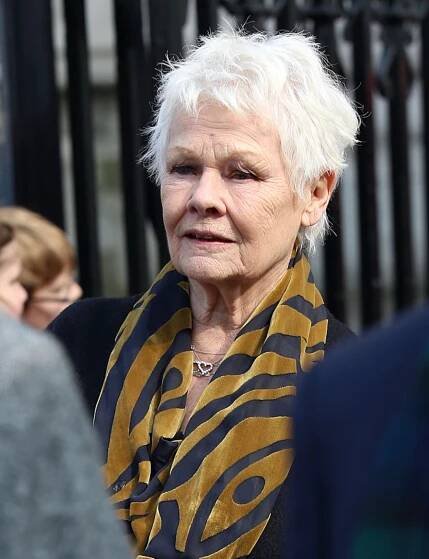 Judi Dench opens up about sad health battle - Jokes Daddy